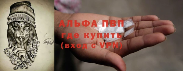 ECSTASY Пересвет