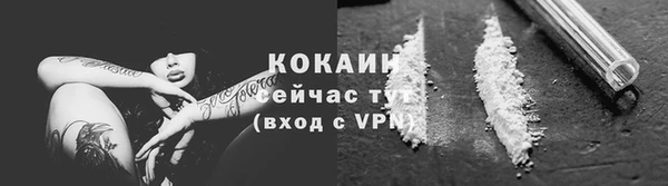 ECSTASY Пересвет