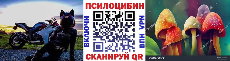 Псилоцибиновые грибы прущие грибы  нарко площадка какой сайт  Щигры  продажа наркотиков 